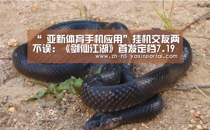  亚新体育手机应用
