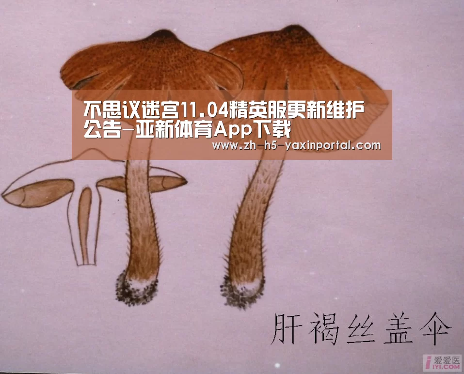 不思议迷宫11.04精英服更新维护公告-亚新体育App下载(图2) 亚新体育App下载