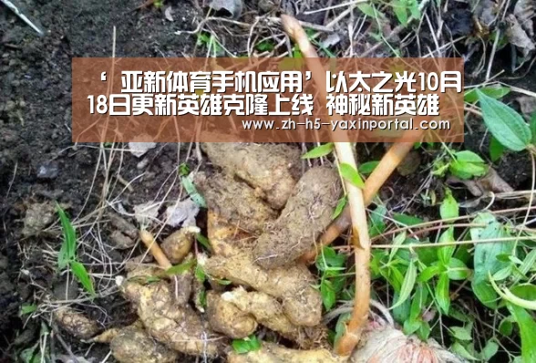 亚新体育App下载